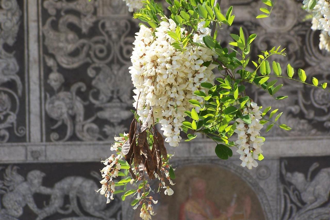 Апартаменты Acacia Firenze - Primula Экстерьер фото